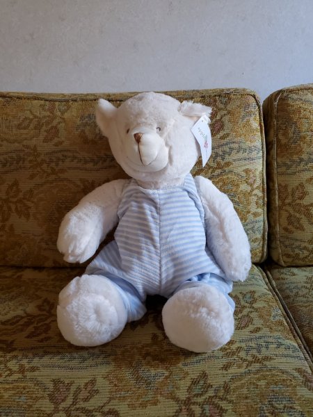 bear firewood hoarders.jpeg