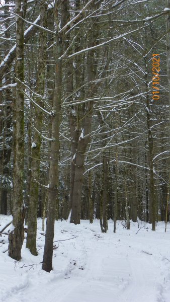 104_1387.JPG