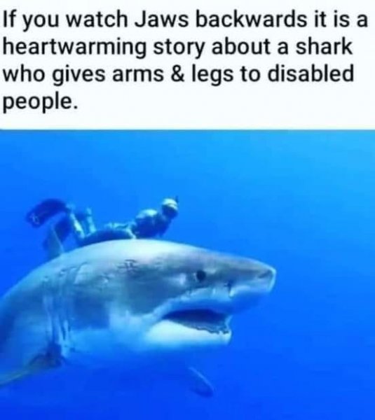 SharkMeme.jpg