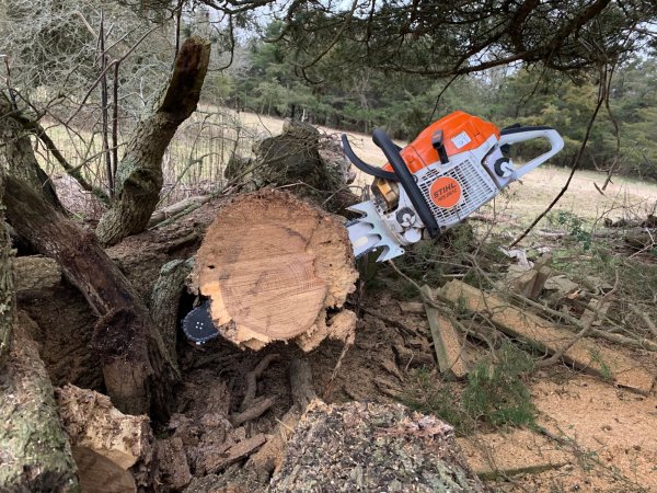 Stihl 261 bore cut into log.jpg