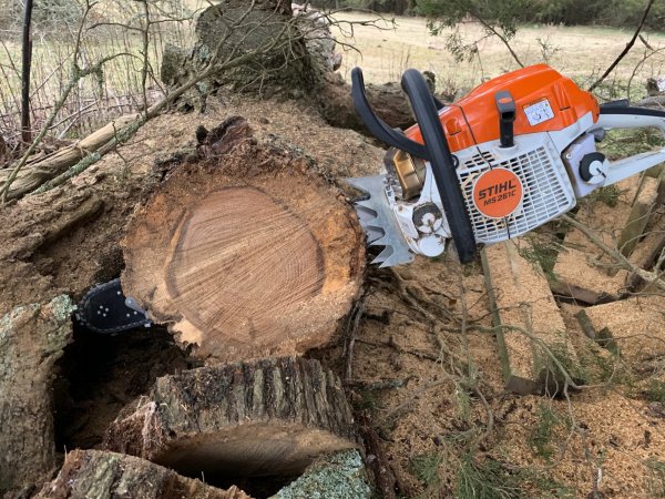 Stihl 261 bore cut log.jpg