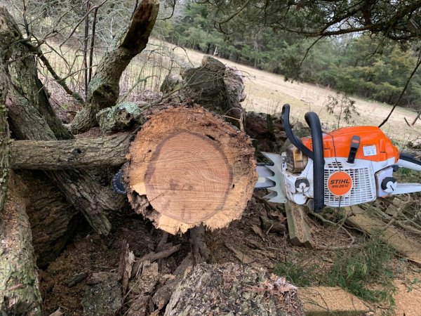 Stihl 261 bore cut.jpg