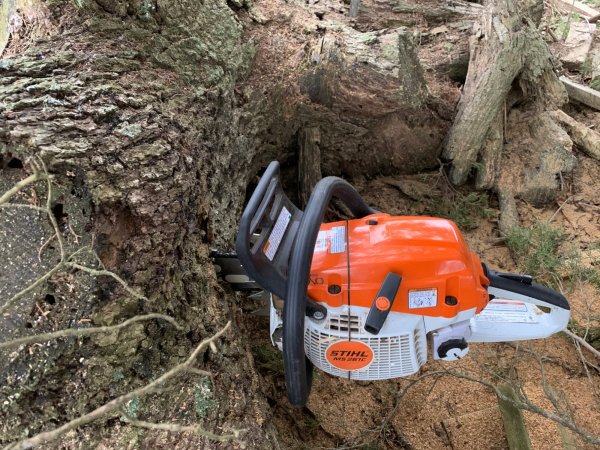 Stihl 261 bore cutting.jpg