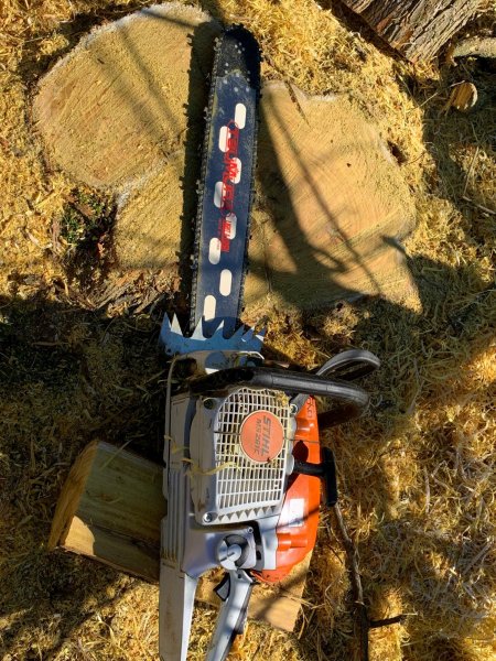 stihl 261 stump cut off.jpg