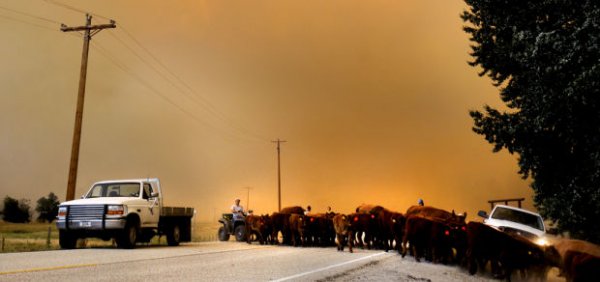 Lolo HWY 12 Fire 5.jpg
