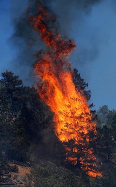 waldofire1.jpg