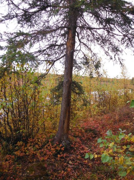 DSCF3628.JPG