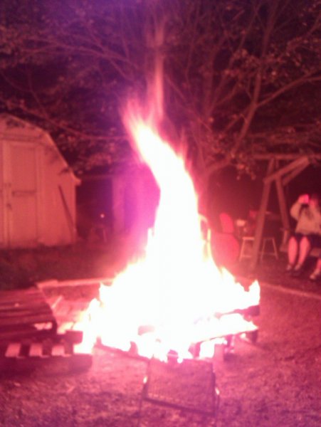 IMAG0652.jpg