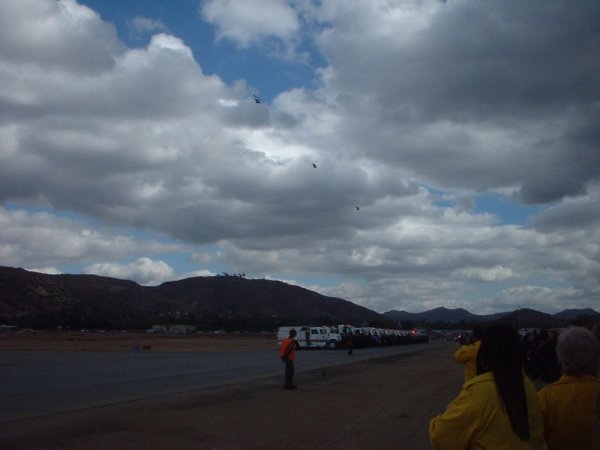 My pics all together 1211.jpg