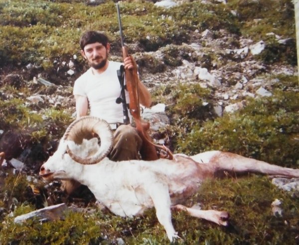 84 sheep blk rpds.JPG