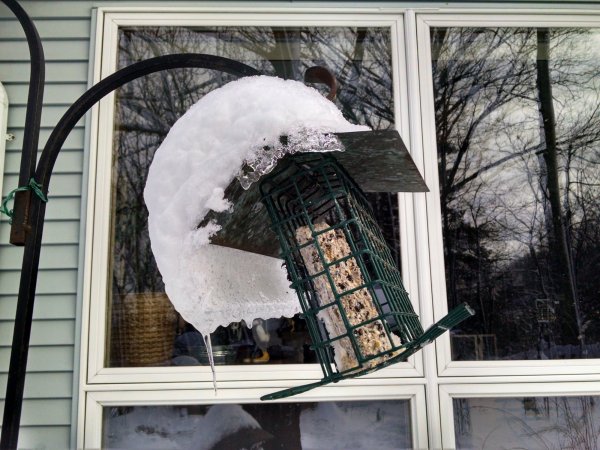 IMG_20210204_081834797_HDR.jpg