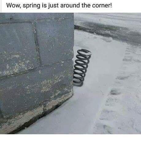 Spring right around the corner.jpg