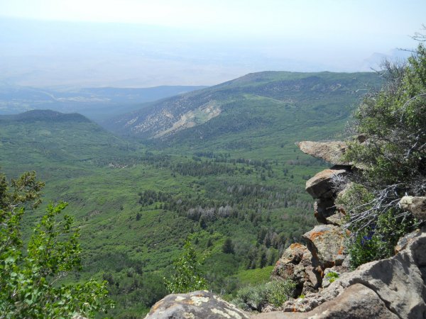 couple years worth 156.JPG