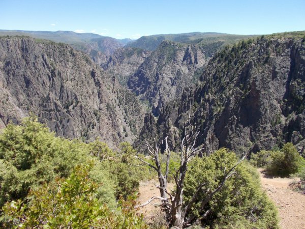 couple years worth 303.JPG