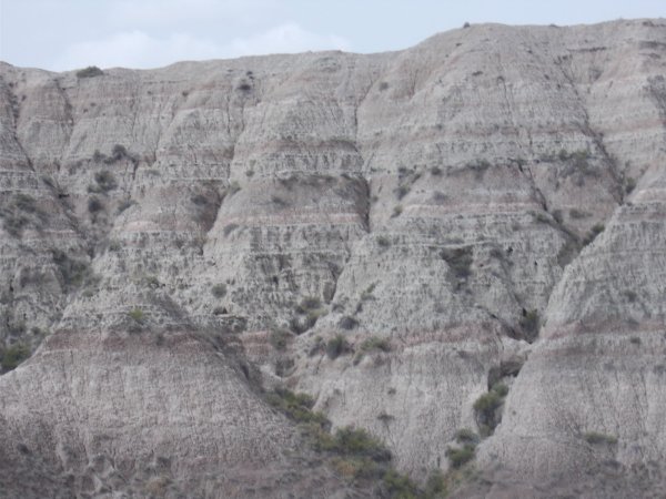 couple years worth 637.JPG