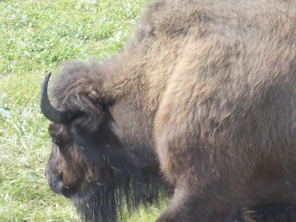 couple years worth 608.JPG