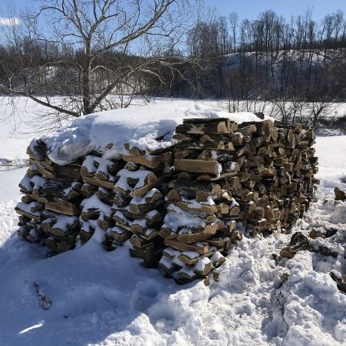 Untitled design-5.jpg