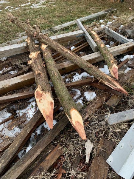 DOG PEN POSTS SHARPENED.jpg