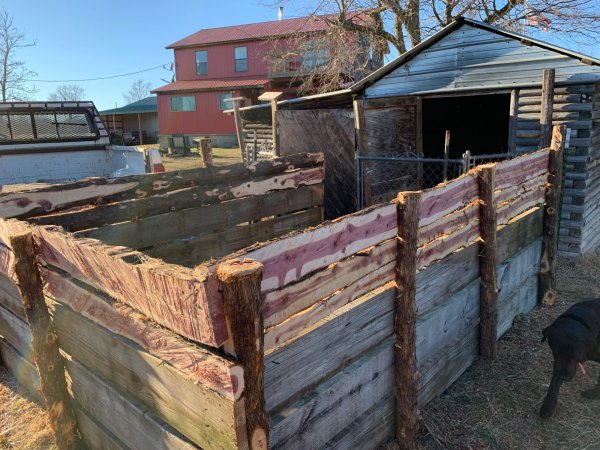 DOG PEN DONE FROM SOUTH EAST.jpg