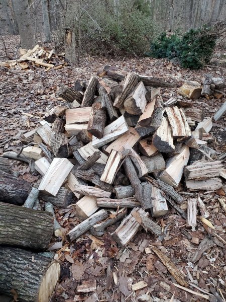 split-wood.jpg