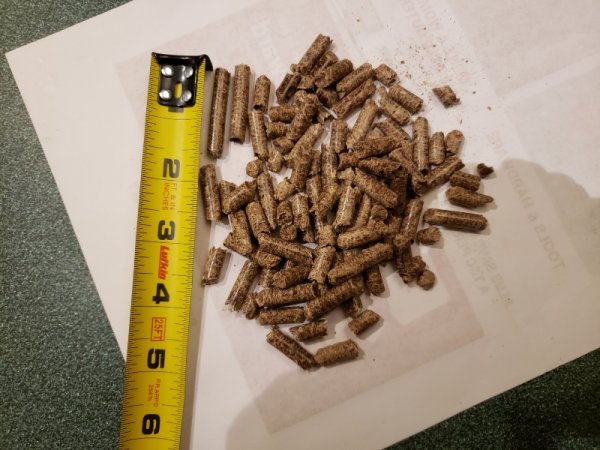 Blazer pellet size.jpg