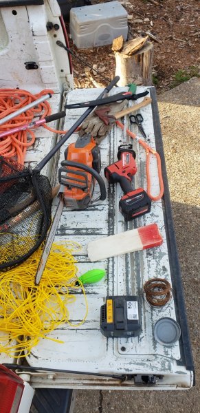 cat in tree equipment.jpg