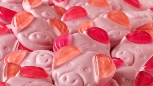 pigs-candy-1021x580.jpg