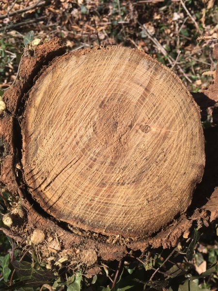 ABB66F6B-B512-4390-96C2-8EA9EC2957F9.jpeg