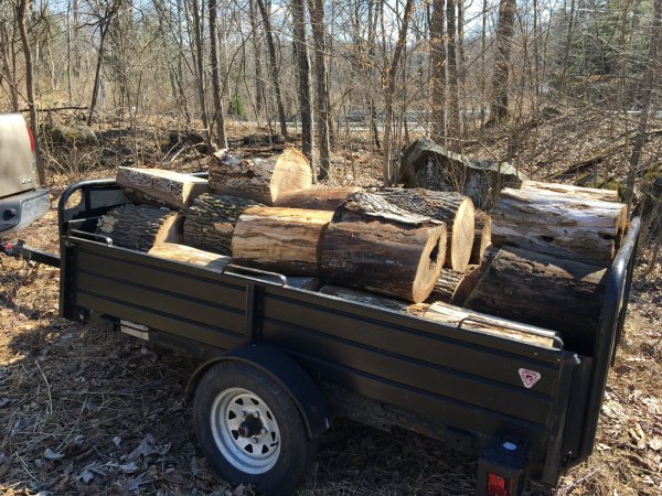 Wood haul for my parents | Firewood Hoarders Club