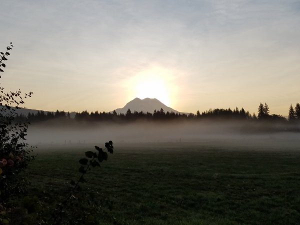 rainiersunrise2.jpg