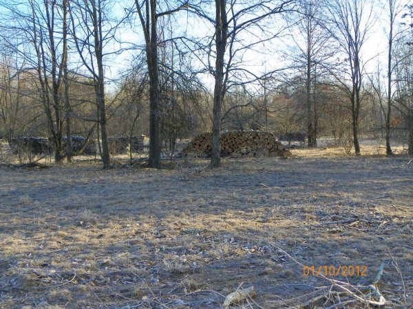 Growing wood pile-1-10-2012.JPG