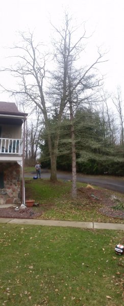 20210324_163431.jpg