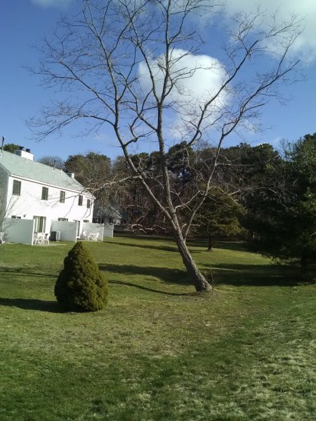 IMG_20210403_092148319.jpg