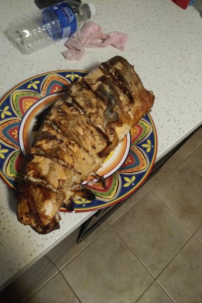 Grilled Arctic Char.jpg