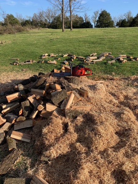 NOODLES AND FIREWOOD, JONSERED.jpg