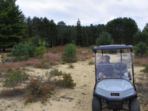 Judy in Golf cart.JPG