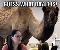 204637-Guess-What-Day-It-Is-Woo-Woo.jpg