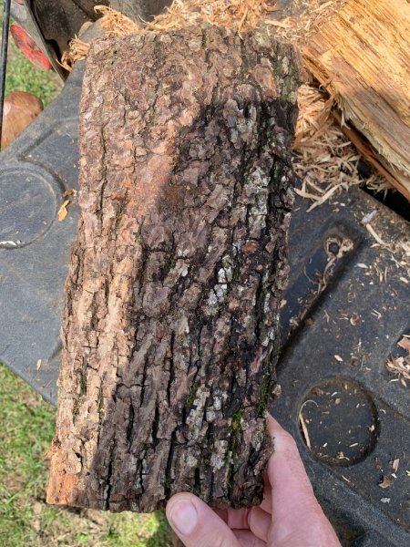 Ash firewood, maybe not.jpg