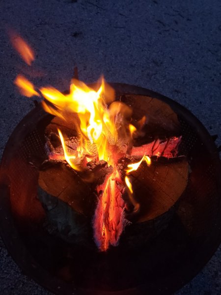 20210424_202905.jpg