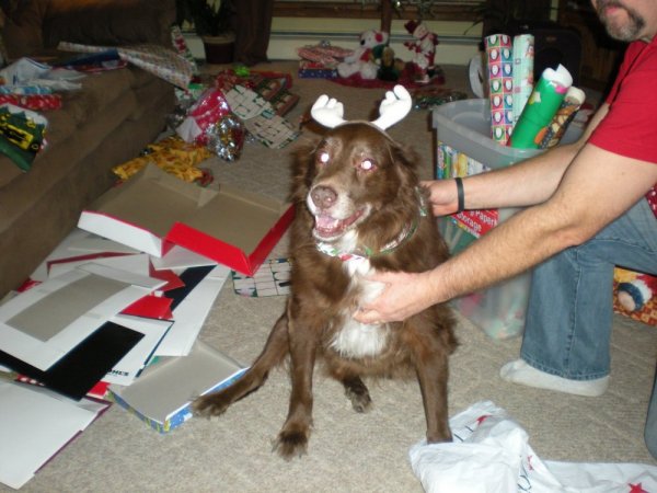 download Jan 14 2012 151.jpg