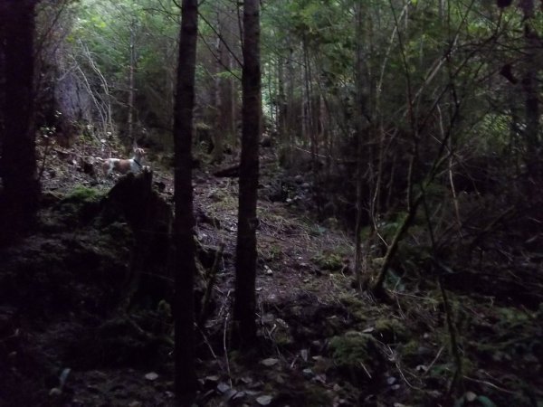 100_0766.JPG