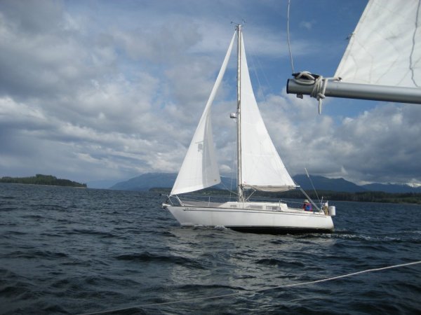 IMG_1408 - Copy - Copy.JPG