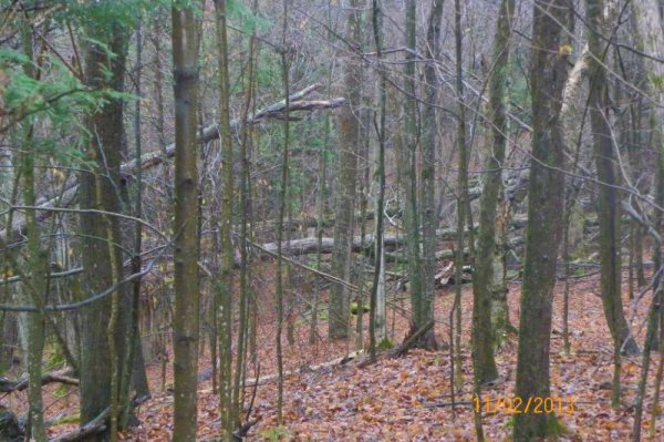 100_8146.JPG