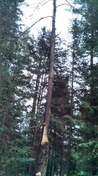 IMG_20131102_182402_372[1].jpg