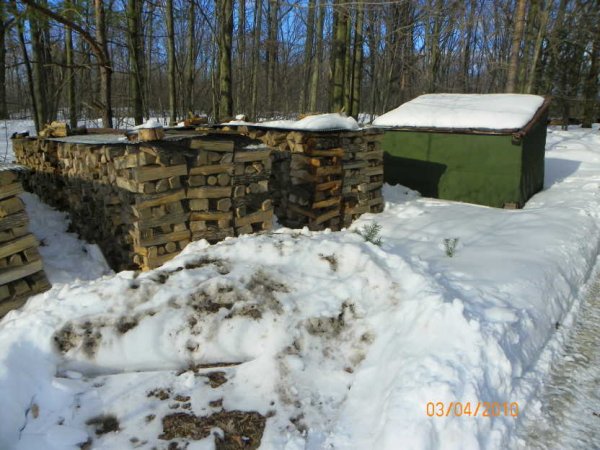 Wood-3-4-10b.JPG