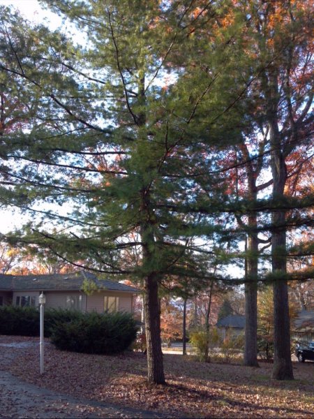 2013-11-02_09-30-26_125.jpg