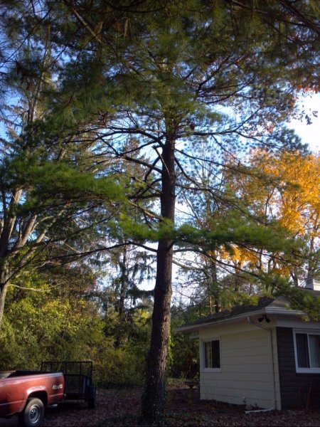 2013-11-02_09-30-40_994.jpg