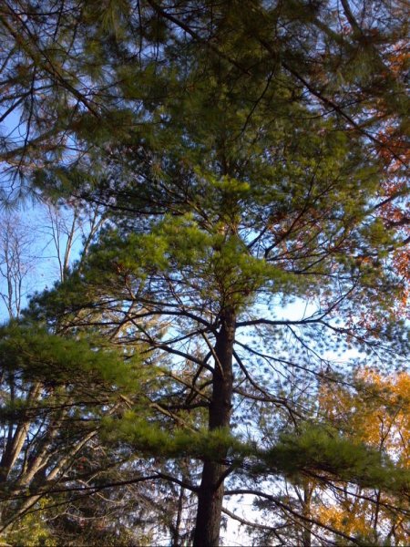 2013-11-02_09-30-46_430.jpg