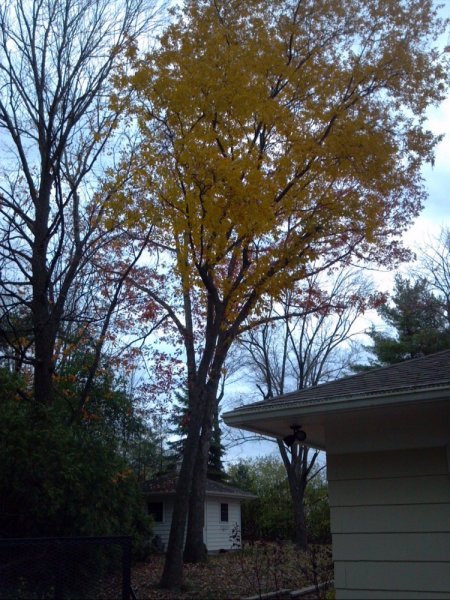 2013-11-02_14-30-12_670.jpg