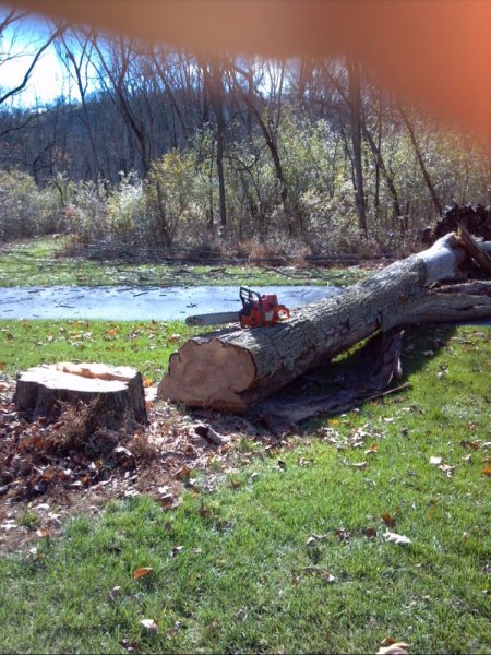 2013-11-03_11-50-35_366.jpg
